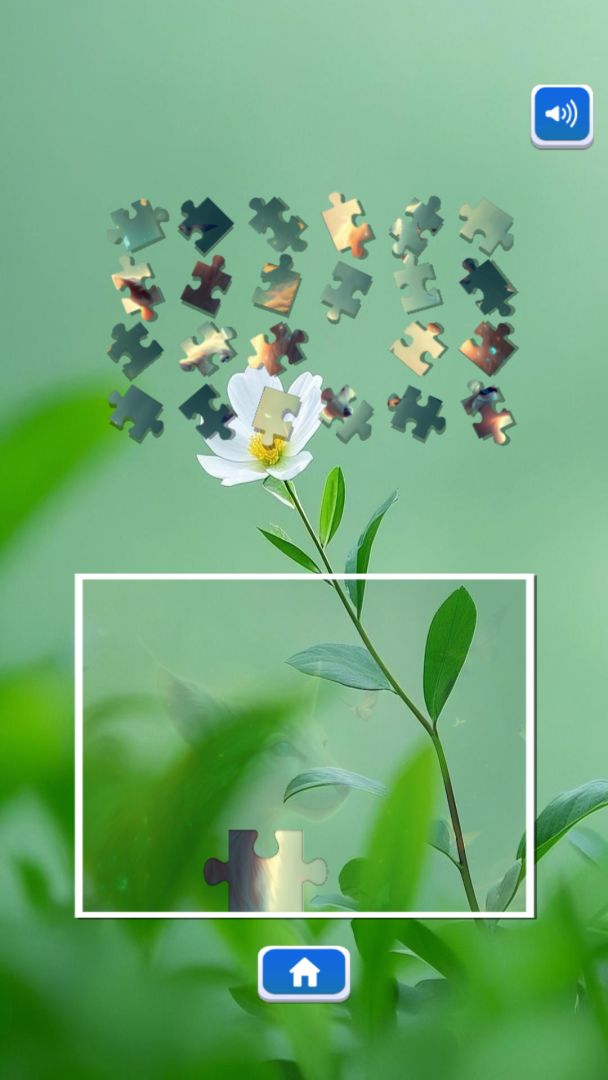 妙趣来闯关游戏截图