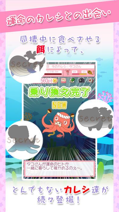 可愛い育成ゲーム【ウオノエちゃん～恋する寄生虫～】游戏截图