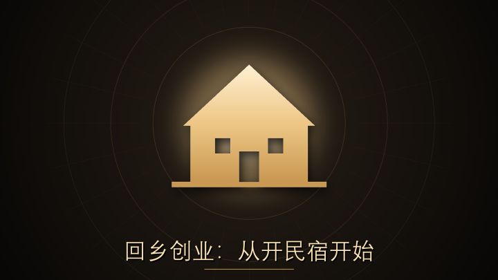 回乡创业：从开民宿开始 封面