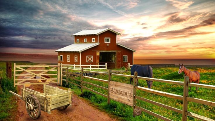 Escape Game: Stud Farm游戏截图