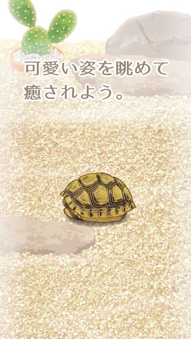 Tortoise Aquarium Free游戏截图