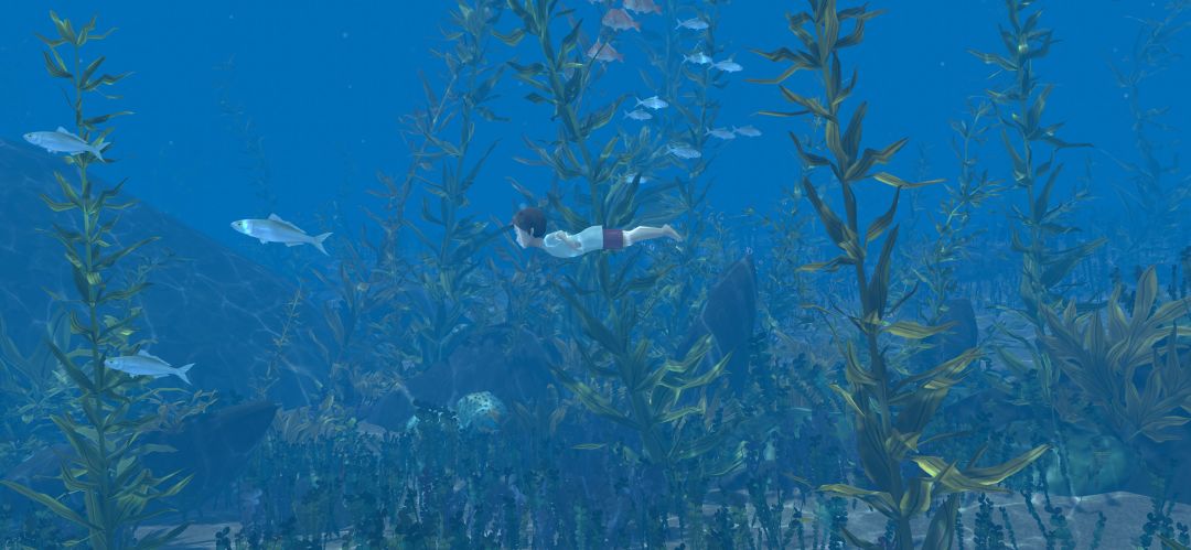 男孩与鹈鹕游戏截图