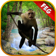 Escape Game Forest Survival