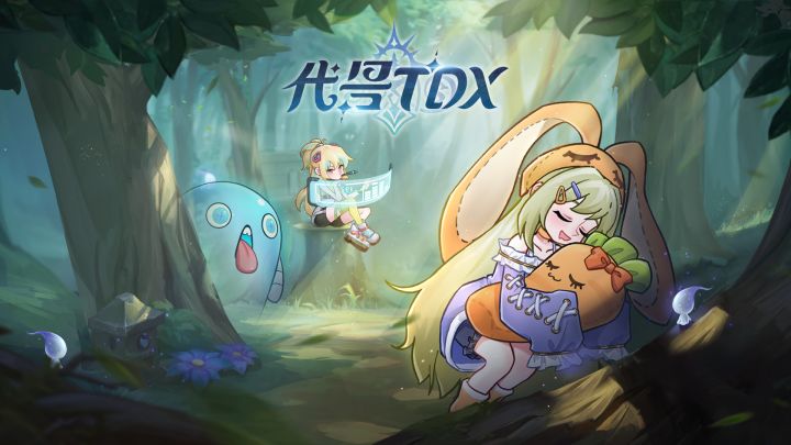 代号：TDX（测试服） 封面