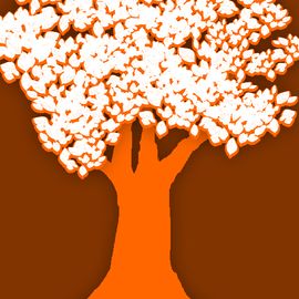 紫域流星工作室