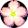 Cherry Tree High Girls' Fighticon