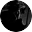 Vojnaicon