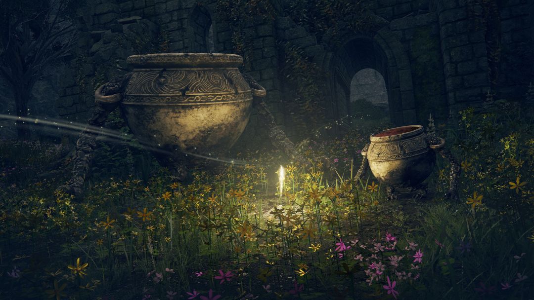 Elden Ring (PC/Console)游戏截图