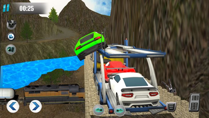 Car Transport-er Truck Driver游戏截图