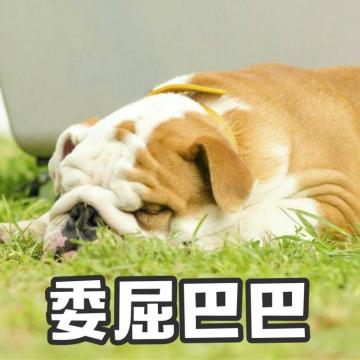 有什么不爽，请尽情的吐出来吧！