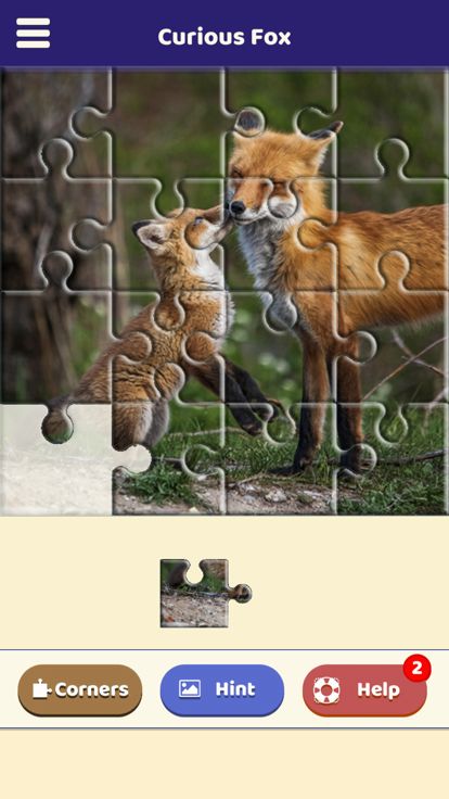 Curious Fox Puzzle游戏截图