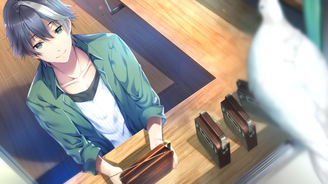 未来广播与人工鸽游戏截图