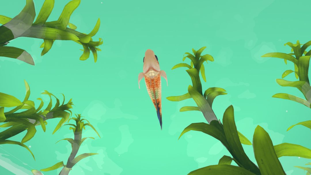 FISHERY游戏截图