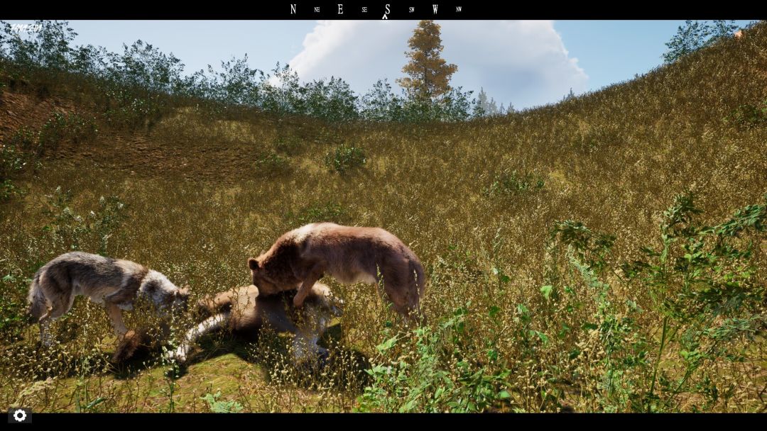 Untamed Kingdom游戏截图