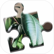 House Plants Puzzle