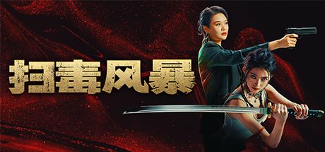 扫毒风暴 封面