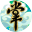 蛋蛋掌门日志icon