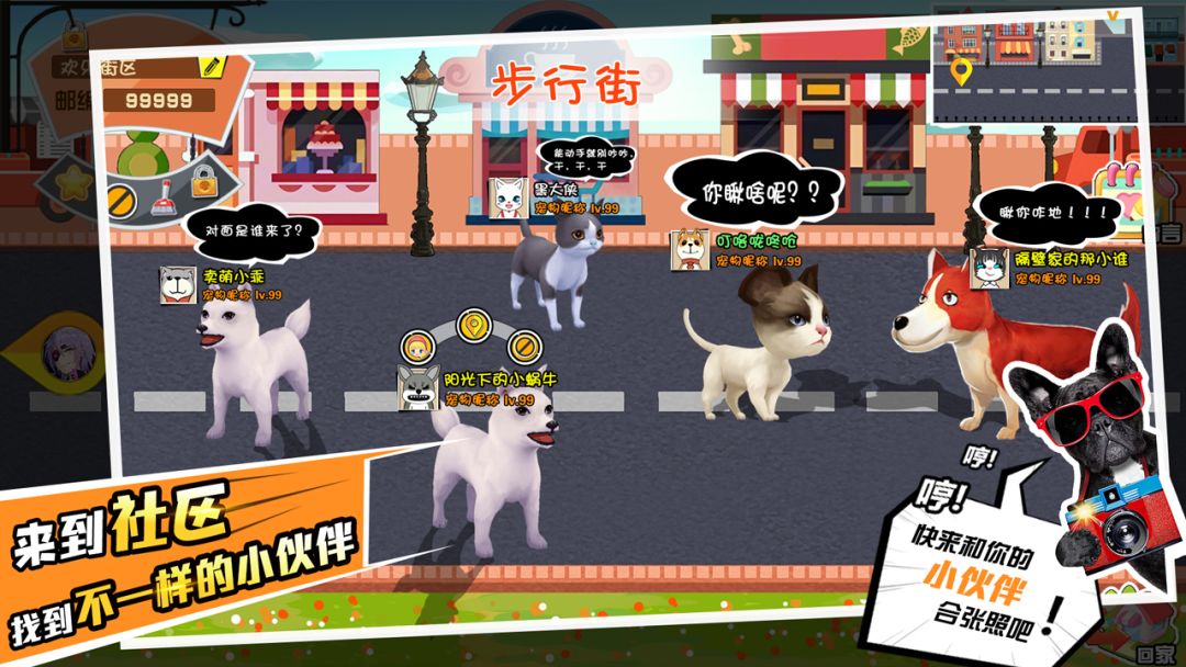 宠物天团游戏截图