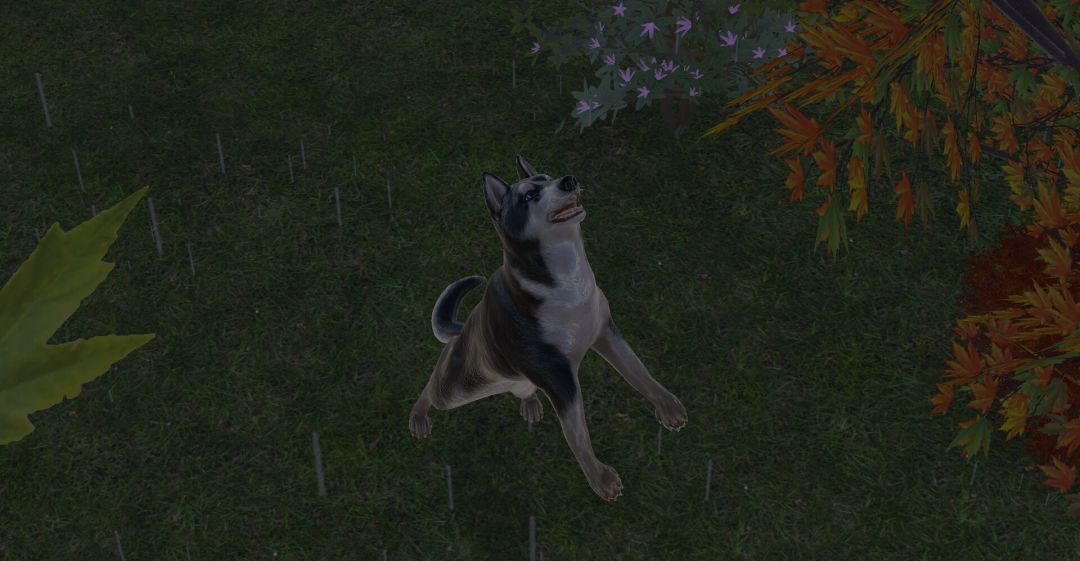 Pets Hotel: Prologue游戏截图