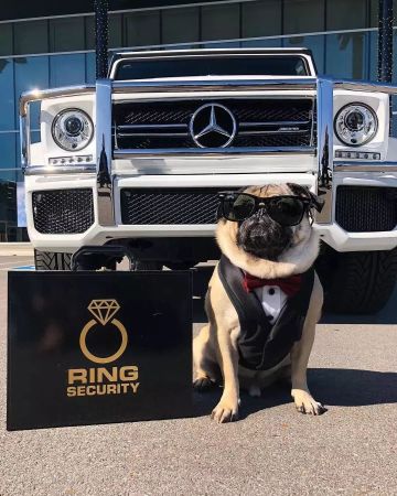 【活动已结束】《跨越星弧》的游戏图标，由你们决定！