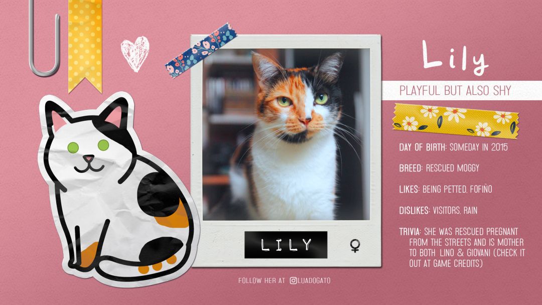 Sudocats游戏截图