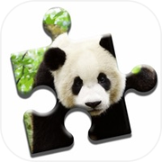 Panda Love Puzzle
