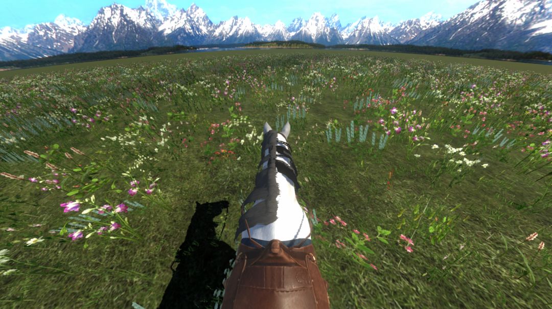 今天你骑马了吗游戏截图