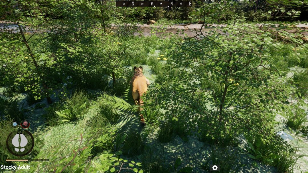 Untamed Kingdom游戏截图