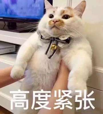 【少年名将】之腥风血雨的洛阳城