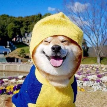 版本爆料 | 汪道夫又来预热更新啦！一起畅想新版本