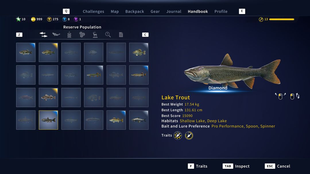 荒野的召唤：垂钓者™游戏截图