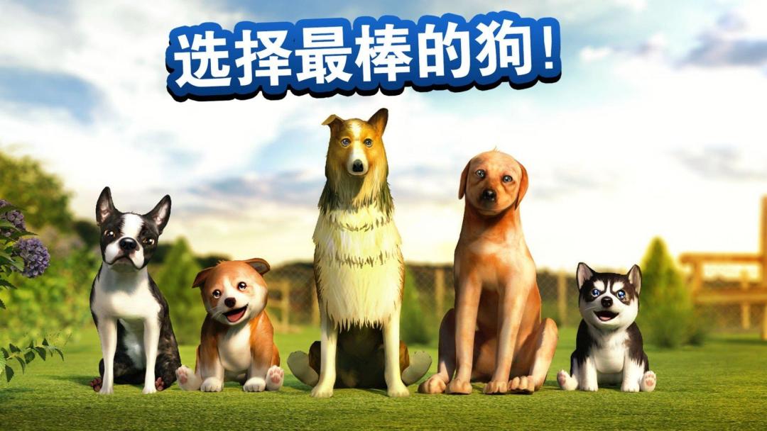 狗狗 Dog Simulator游戏截图