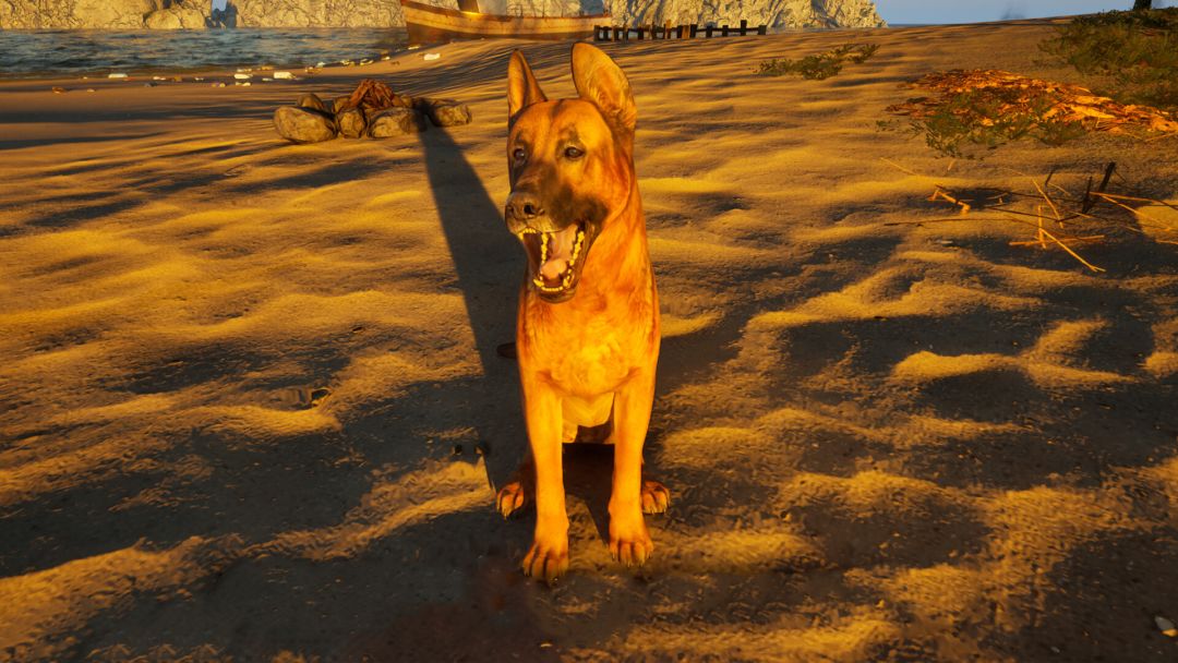 重建你的岛屿游戏截图