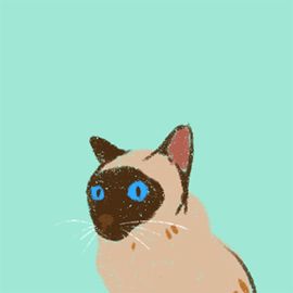 李二狗的工作室