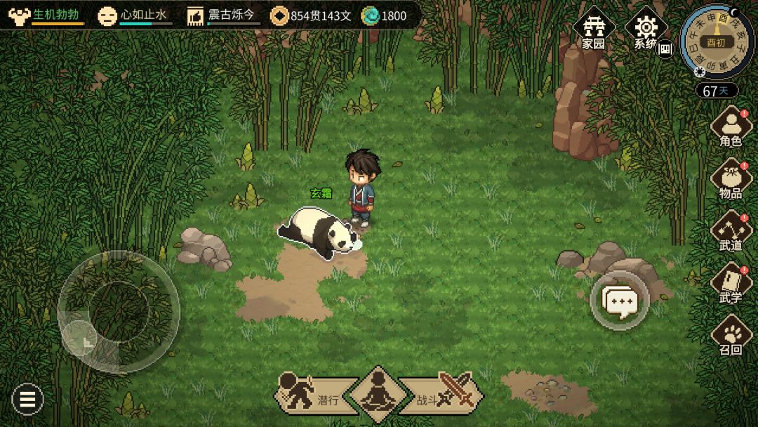 大侠立志传游戏截图