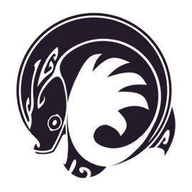 鱼尾耳光工作室