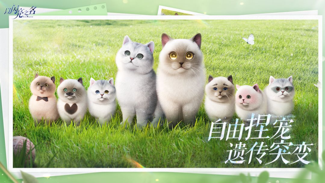 以闪亮之名游戏截图