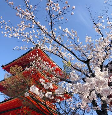 《一起来捉妖》为爱上墙水友故事征集！！