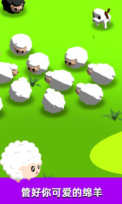 萌犬赶羊益智3D游戏截图