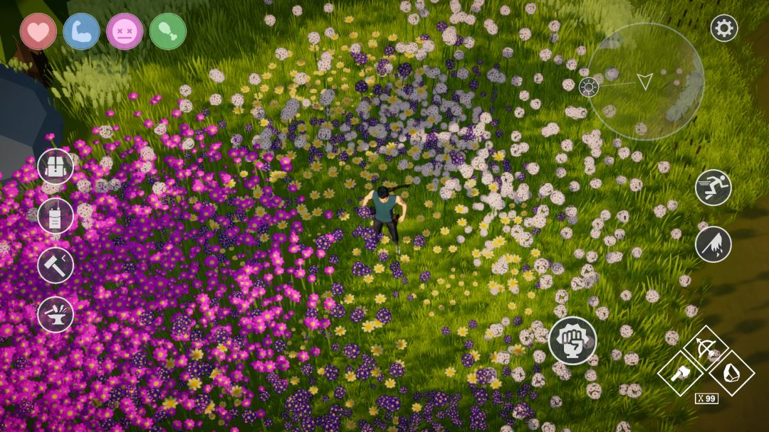 爱与荒野游戏截图