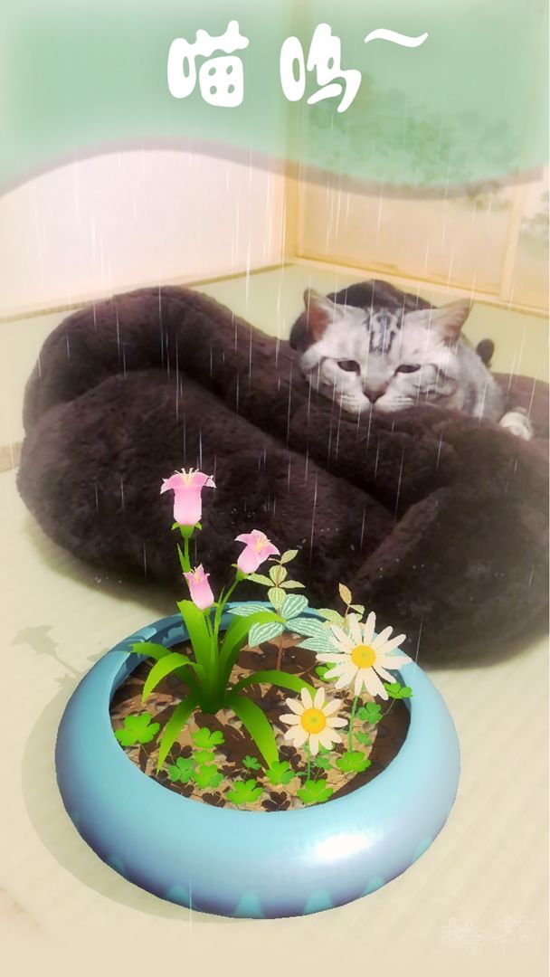 AR拾花游戏截图