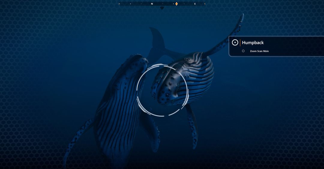 Beyond Blue游戏截图