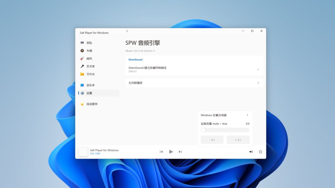 Salt Player for Windows游戏截图