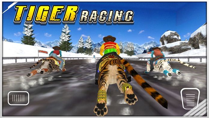 Tiger Racing : Simulator Race游戏截图