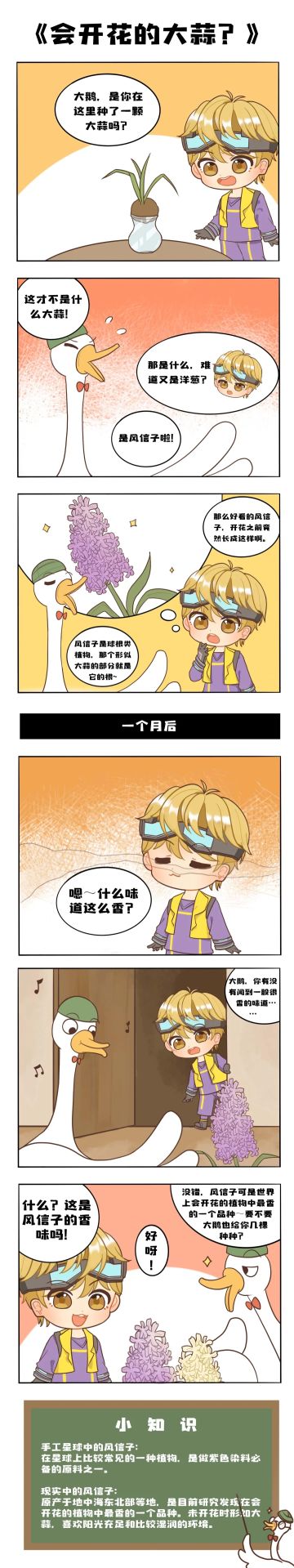 大鹅小课堂 ｜ 别看它现在这样，开花的时候可漂亮了！