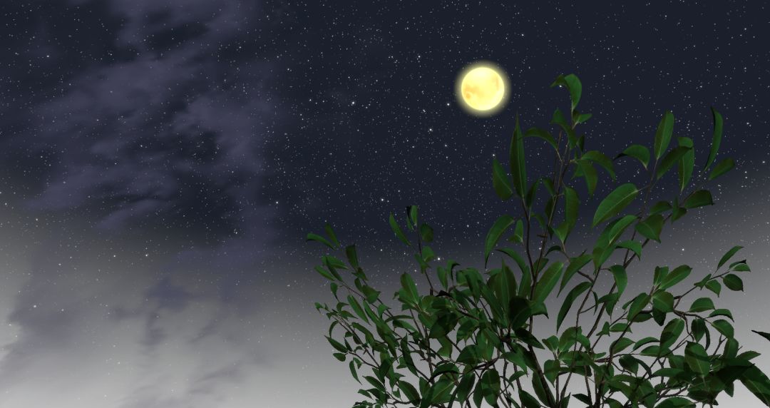 我穿越到灵界游戏截图