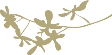 万万没想到，中秋放个灯居然就找到了真爱？