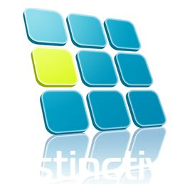 Distinctive Wireless Inc.