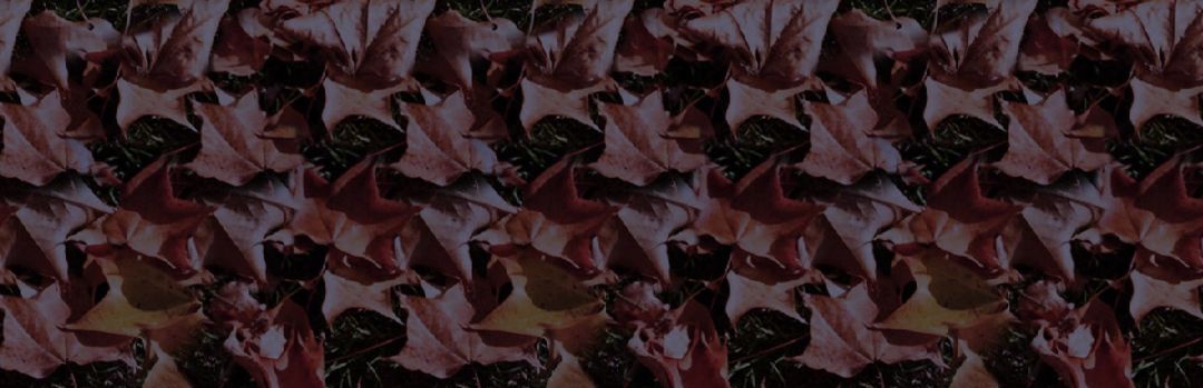 Holiday Jigsaw Halloween 3