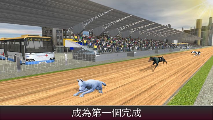 冲刺 100 米赛狗  在铁轨上跑狗游戏截图